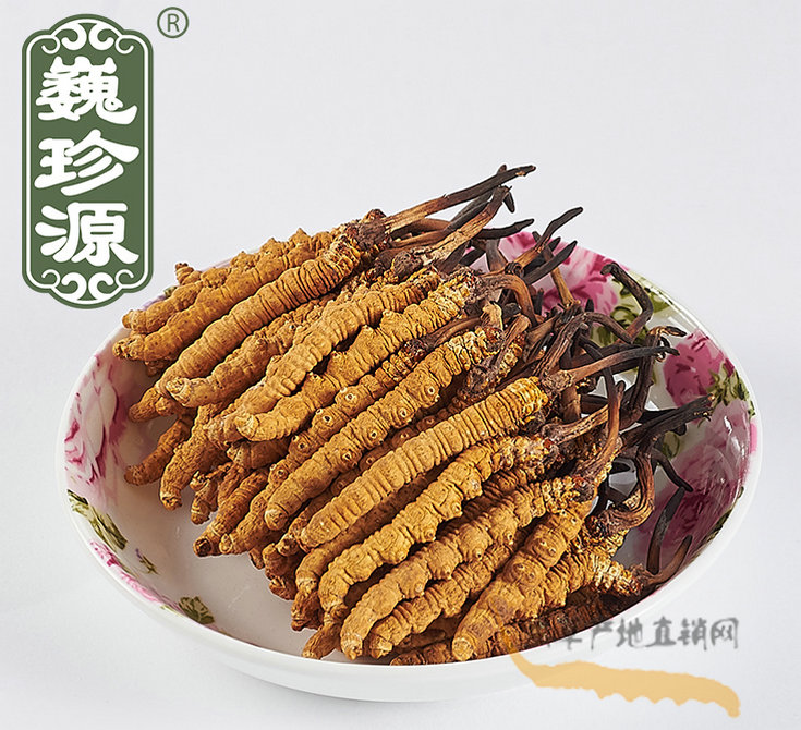 Ĳǳ滹ǲ,ĲֲﻹǶ,Ĳ붬ݵ,붬Ĳʲô