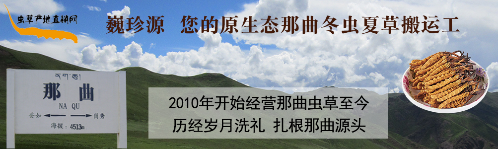 Ĳ,ܸʳݺʶĲ,Ĳݼ۸