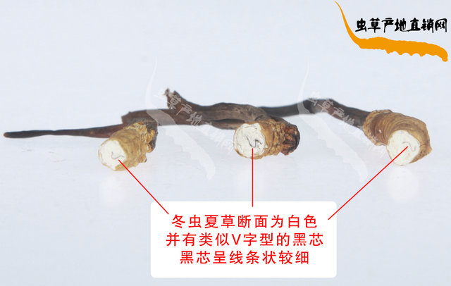 򵥶Ĳټ𷽷,ٶĲݱ𷽷,򵥵ٶĲݷֱ淽