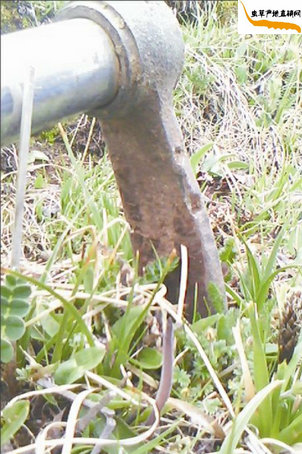 Ĳڳ?һĲ,׼ѶĲݲڳ