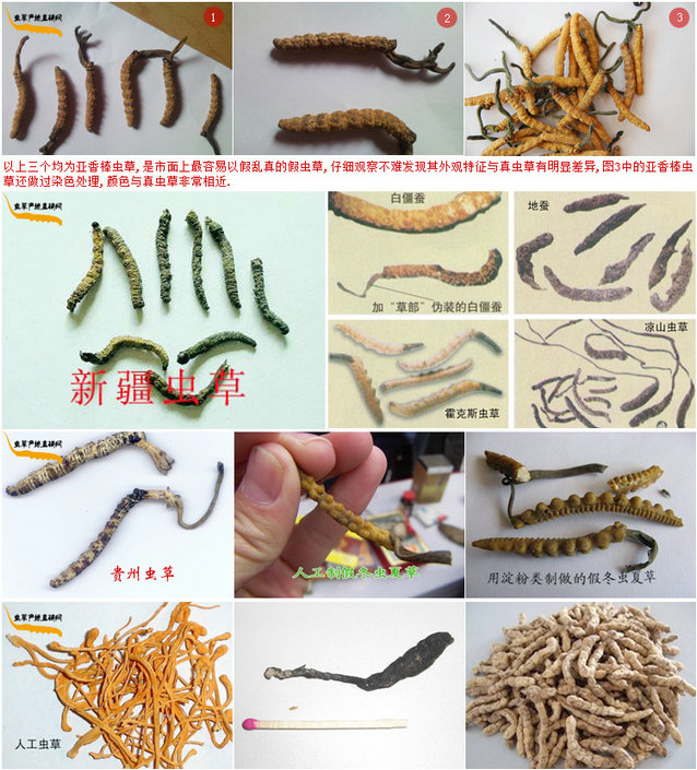 ͼƬ,ٶĲݵ,ٳݵ,ּٶĲݵͼƬչʾ